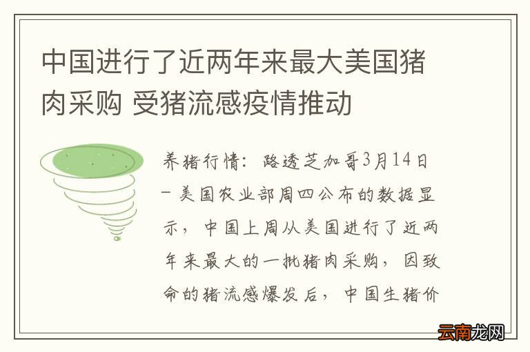 新型猪流感情最新消息,新型猪流感情最新消息，探索与研究