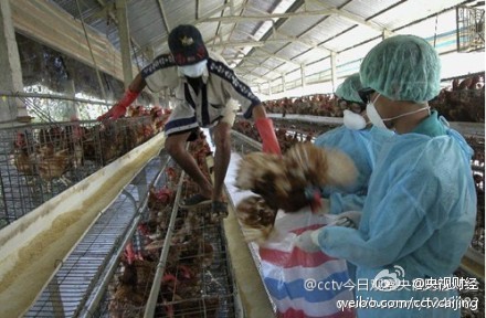 榆林h7n9最新疫情,榆林市H7N9疫情最新动态分析