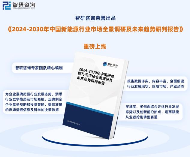 新澳特精准资料,新澳特精准资料，引领行业变革的先锋力量