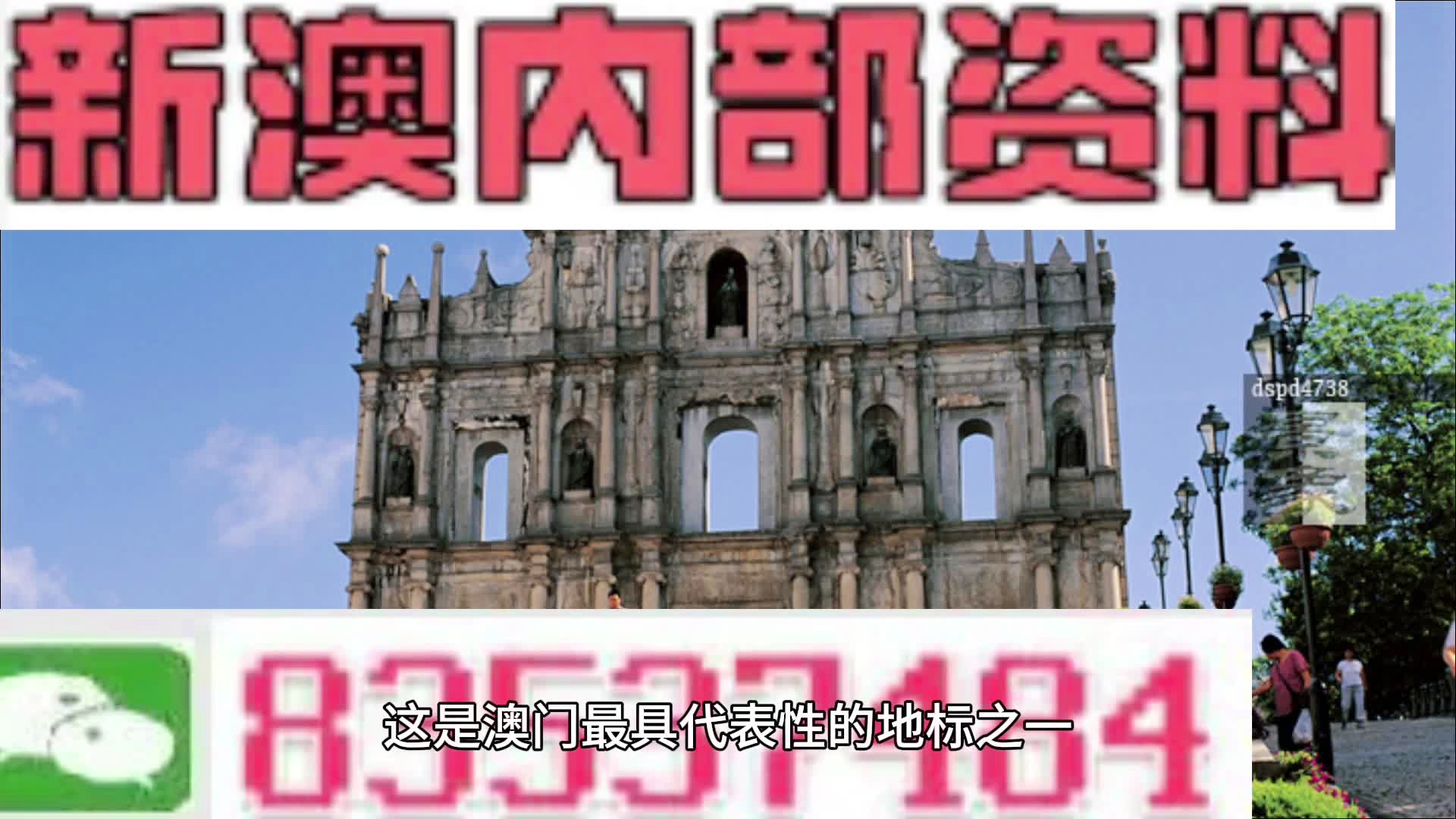 2024新澳最精准资料,揭秘2024新澳最精准资料——全方位解读与深度探讨