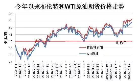 2025年今晚开奖结果查询,揭秘今晚开奖结果，掌握未来，洞悉2025年彩票奥秘